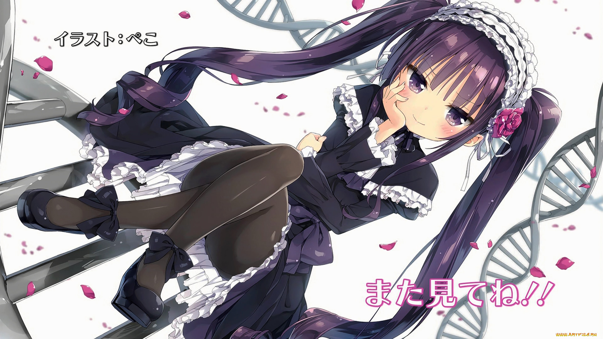 , absolute duo, 